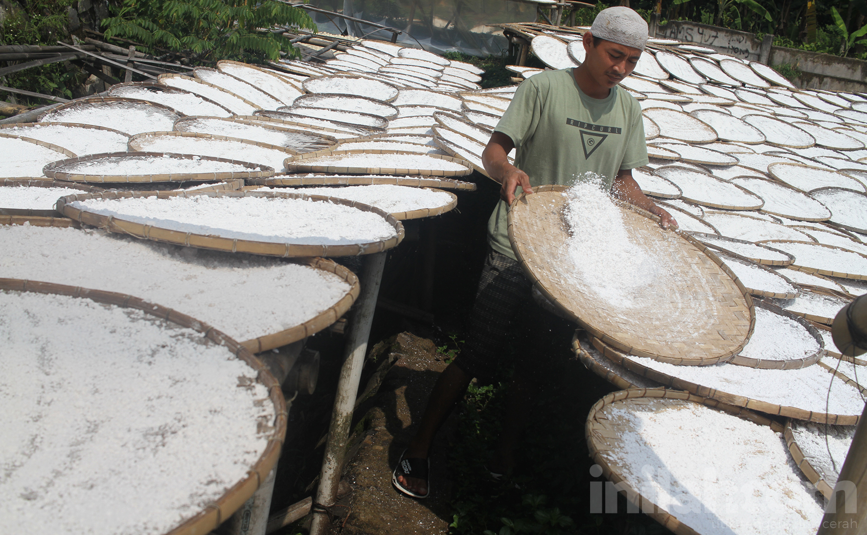 Jual Mesin Tepung Beras Berkualitas Langsung Pabrik