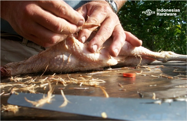 mencabut bulu ayam manual