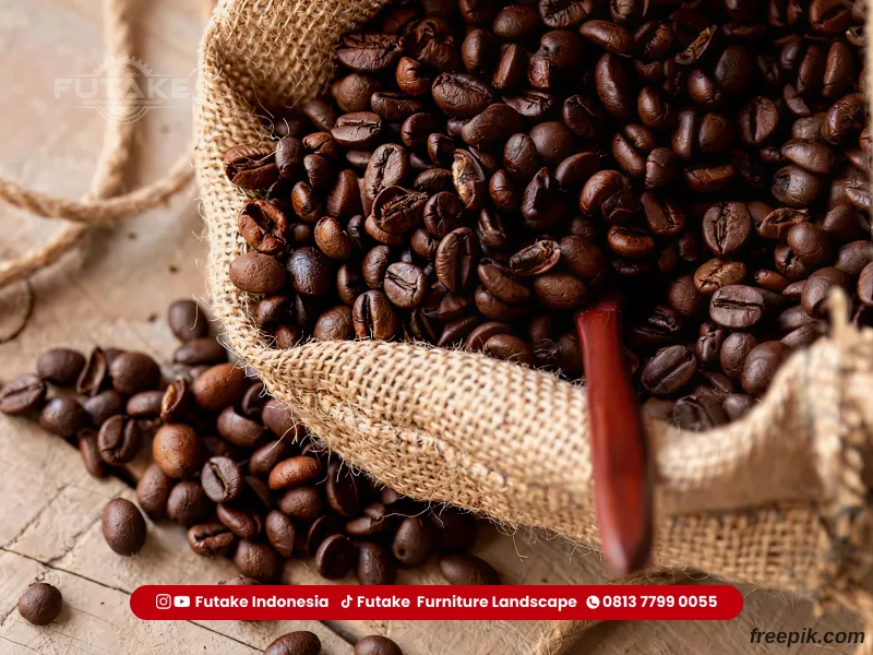 Jenis biji kopi Indonesia yang cocok untuk bisnis kopi