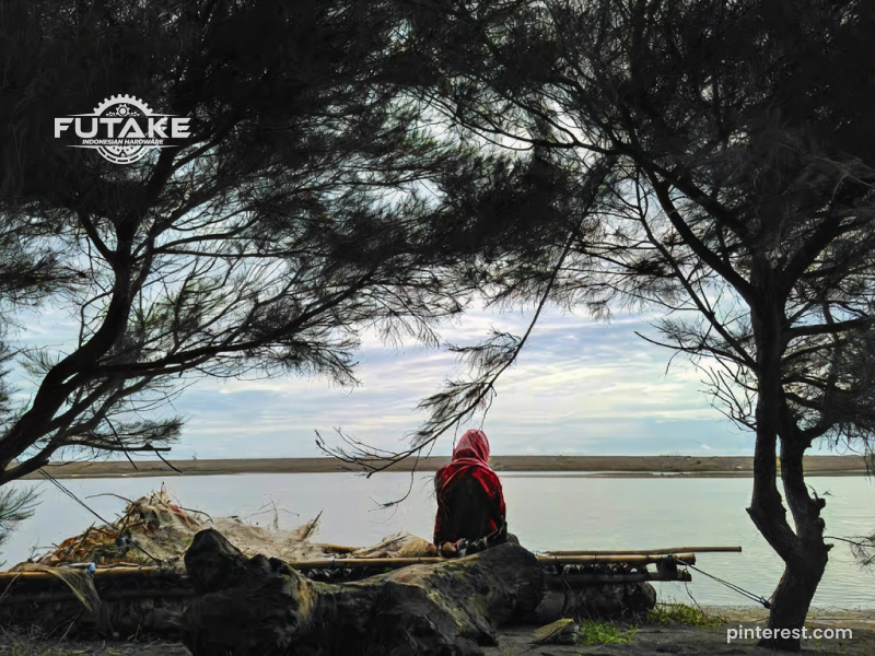 hutan mangrove Pantai Baros Yogyakarta dengan jalur kayu di antara pepohonan mangrove