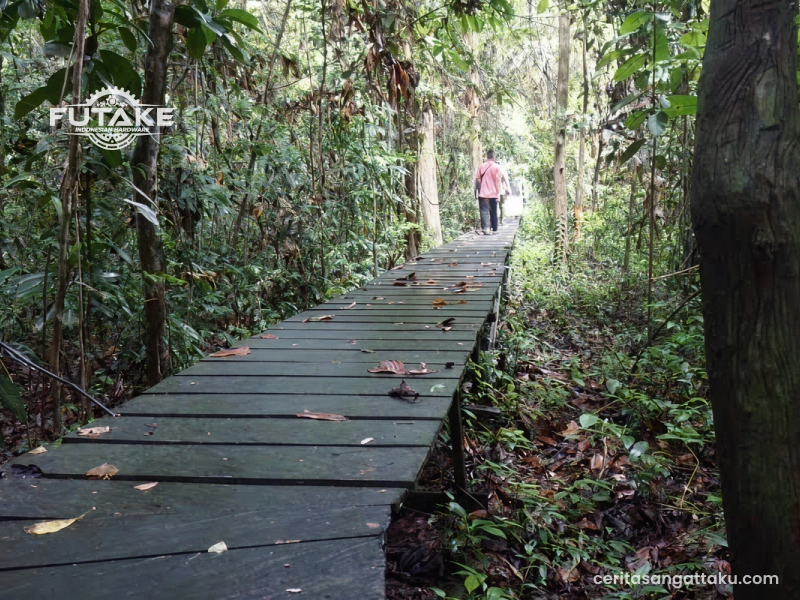 Tempat satu ini cocok banget buat Anda yang ingin wisata edukasi sekaligus menikmati suasana alam yang masih asri